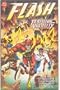 The Flash: Terminal Velocity