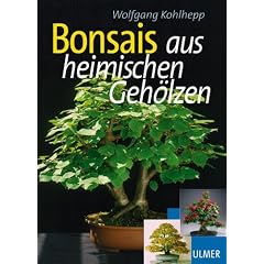 Bonsais. Aus heimischen Geh�lzen