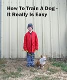 How To Train A Dog - It Really Is Easy
