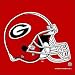 Georgia Bulldogs NCAA Car Flag
