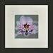 Susho, King Silk Art Handmade Silk Embroidery - Pink and Purple Orchid - White Mat Framed Regular Size 16011WF