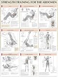Abdomen Poster