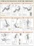 Strength Training Anatomy: Strength Training for the Abdomen Poster