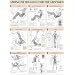 Strength Training Anatomy: Strength Training for the Abdomen Poster