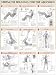 Strength Training Anatomy: Strength Training for the Abdomen Poster