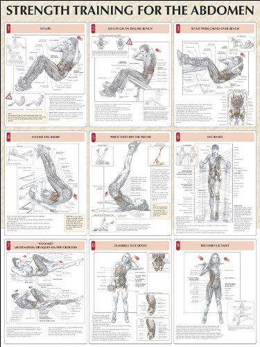 Strength Training Anatomy: Strength Training for the Abdomen Poster