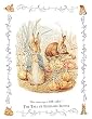 16X20 White Plaque - Tale of Benjamin Bunny #2