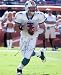 Chad Henne Autographed / Signed 16x20 Photo - Miami Dolphins