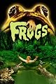 play video on Amazon Prime