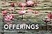 Offerings: Buddhist Wisdom for Every Day (Offerings for Humanity)