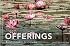 Offerings : Buddhist Wisdom for Every Day (Offerings for Humanity)