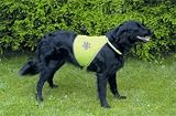 Eigenschaften TRIXIE  / Sicherheitsweste für Hunde -2-