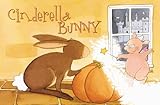 CINDERELLA BUNNY, A Furry Tale Book