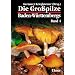 Die Grosspilze Baden-W�rttembergs: Die Gro�pilze Baden-W�rttembergs, Bd.4