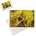 Photo Jigsaw Puzzle of Rio Carnival, Rio de Janeiro, Brazil from AWL Discover Images