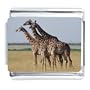 Star Struck Giraffes Italian Charm