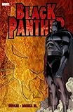 Who is the Black Panther?