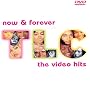 TLC: Now & Forever - The Video Hits