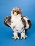 Buy Plush Hally Hawk 9 by Douglas Cuddle Toys