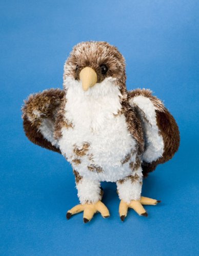 Buy Plush Hally Hawk 9 by Douglas Cuddle Toys now!