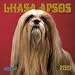 Lhasa Apsos 2001 Calendar