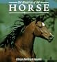The Kingdom of the Horse