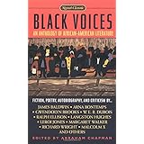 black voices signet classics
