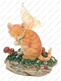 CAT BUTTERCUP Faerie Glen Cats Munro FGC6752