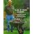 Geoff Hamilton's Year in Your Garden
