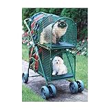 Kittywalk Double Decker Stroller