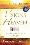 Visions of Heaven: 4 Stories of People Who Have Seen the After-Life