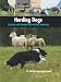 Herding Dogs: Selecting and Training the Working Farm Dog (Country Dog)