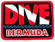 Dive Bermuda Patch Embroidered Iron On Scuba Diving Flag Emblem Souvenir