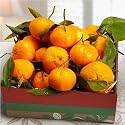 Golden State Mandarins Fruit Gift