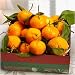 Golden State Mandarins Fruit Gift