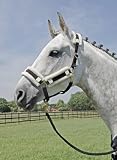 Busse Halfter Keep Wool Everline Gr Pony mit Klettverschluss