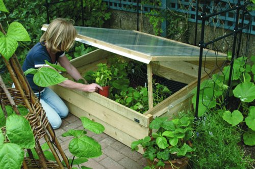 Hawthorns Professional Coldframe