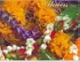Flowers of Hawaii 2007 Wall Calendar
