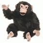 Folkmanis Puppet Chimpanzee