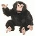 Folkmanis Puppet Chimpanzee