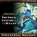 Industrial Society (Visual Culture of Wales)
