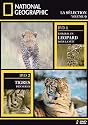National Geographic : Tjololo - tigres des neiges - Edition digipack 2 DVD