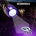 UV LED Ultraviolet Blacklight Emergency Flashlight for Scorpions, Urine, Counterfeit, Stains, Germicidal, Auto Leaks, Hunting, Antiques, Forensics, Camping and more. Finds the Invisible and Makes It Known.