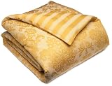 Pinzon Medallion Egyptian Cotton Jacquard Full/Queen Duvet Cover, Gold