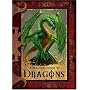 A Practical Guide to Dragons