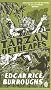 Tarzan of the Apes (Pocket Penguin Classics)