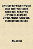 Cretaceous Paleontological Sites of Europe: Gosau Formation, Maastricht Formation, Bauxite of Cornet, Artoles Formation, Csehbanya Formation-
