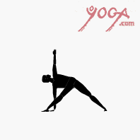 B.K.S. Iyengar, Yoga '90 - Asana Performance: Format-VHS