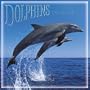 Dolphins 2001 Calendar (Animals)