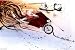 Ralph Steadman (Hunter on Ducati) Art Poster Print